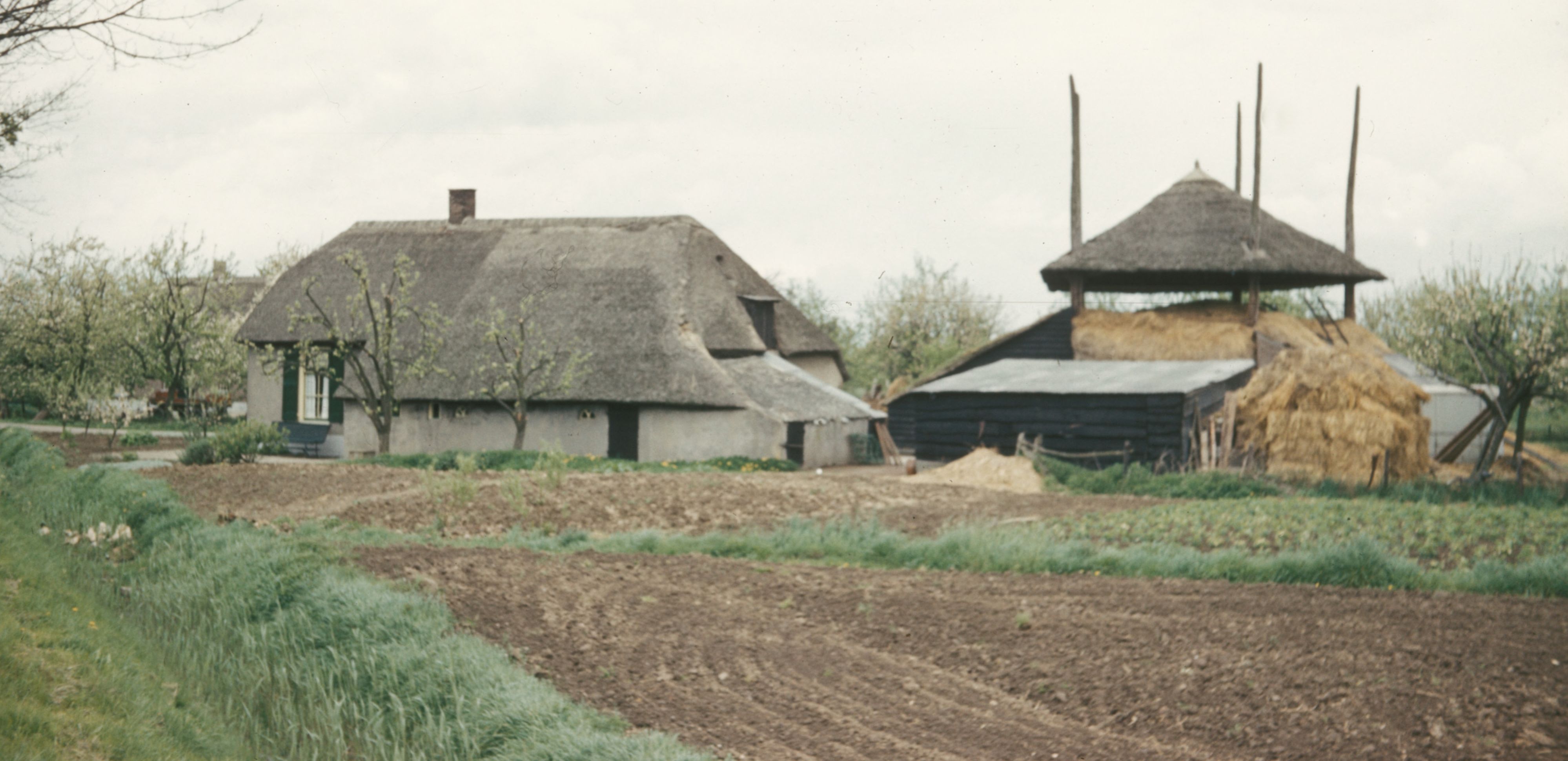 Boerderij in de Betuwe met hooiberg, eind jaren vijftig