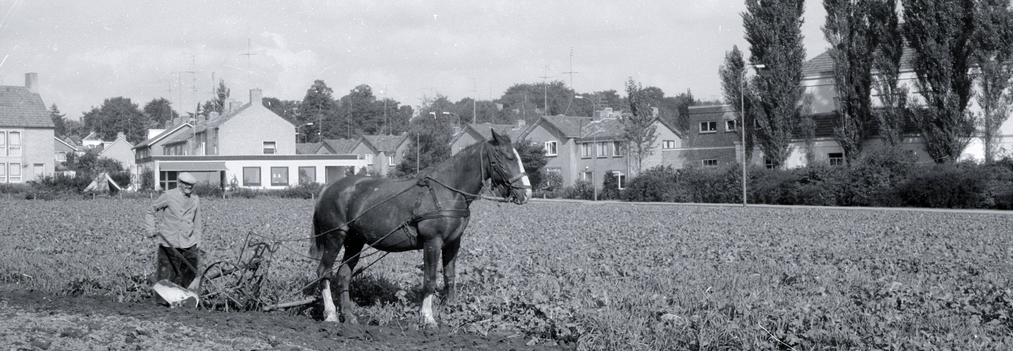 Een ploegende boer met paard in Oosterbeek